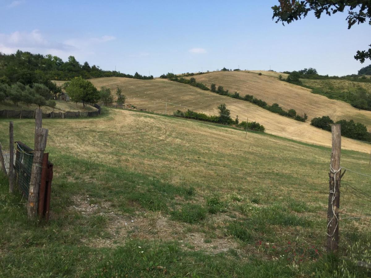 La Palazzina Di Ciagnano Villa Ozzano dell Emilia Kültér fotó