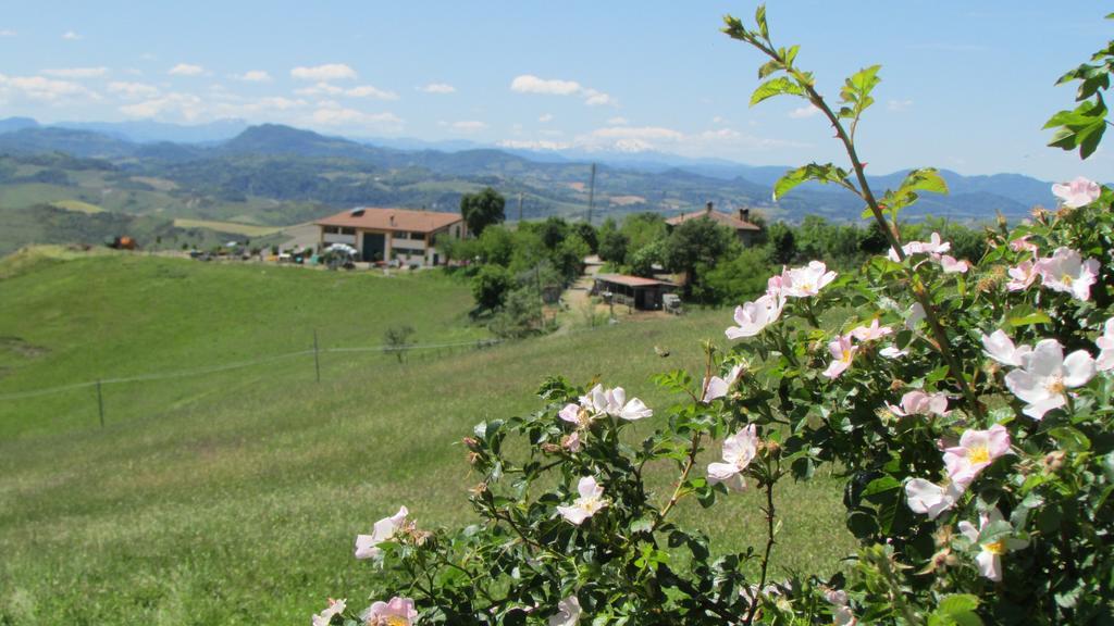 La Palazzina Di Ciagnano Villa Ozzano dell Emilia Kültér fotó